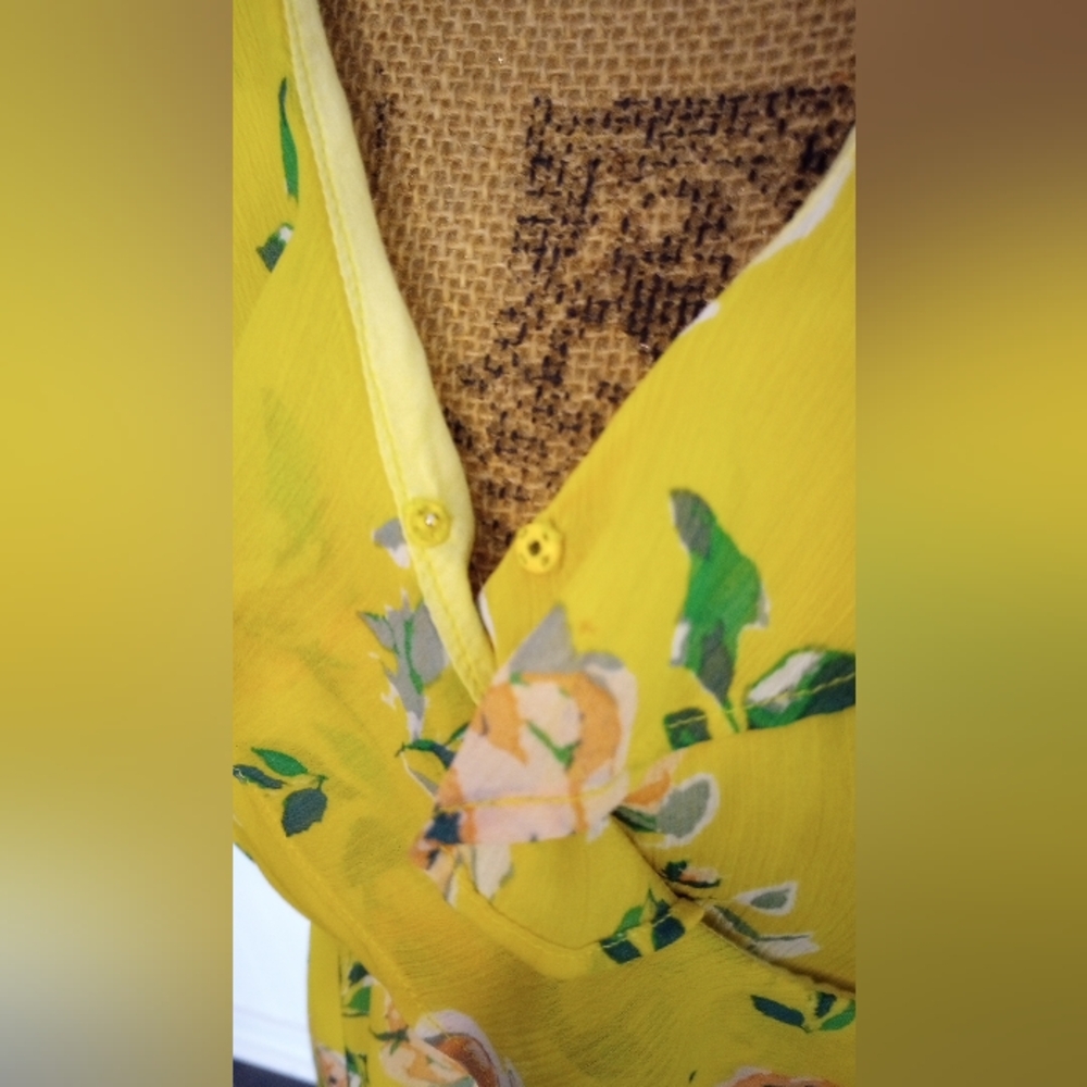 Aeropostale Prince & Fox Chiffon Yellow Floral Ruffled Dress Size Small EUC - Picture 6 of 9